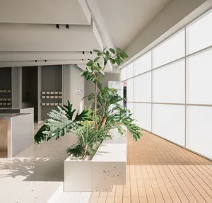 A calm and inviting indoor space with a large white wall featuring several potted plants, adding a touch of nature to the interior environment