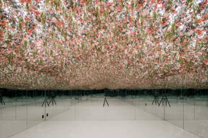 A warm and inviting cafe space filled with pink flowers hanging from the ceiling, creating a unique atmosphere