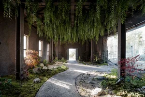A lush indoor garden with a variety of plants, including trees and bushes, arranged in different positions with potted plants and artificial lighting