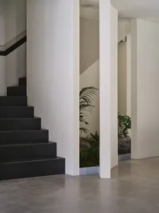 A warm and inviting staircase with wood steps, flanked by two potted plants, one on either side