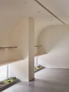 A minimalist room with a curved wall and a straight wall, featuring two benches and three potted plants, creating a clean and minimalistic atmosphere