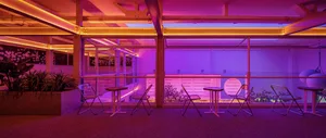 Dining area with purple walls, ceiling lights, and modern furniture
