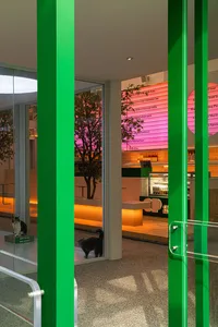 A serene indoor space with green walls, a cat sitting on the ground near a window, and a second cat in the background