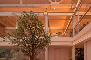 A warm and inviting indoor space with large windows, a dining table, chairs, and two trees, surrounded by a combination of living and dining areas