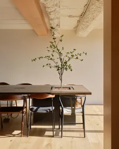 A warm and inviting dining area with a wooden table, three chairs, and a potted plant, bathed in natural light