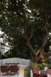 A wooden dining table surrounded by cushioned chairs under a tree, creating a relaxed outdoor seating area