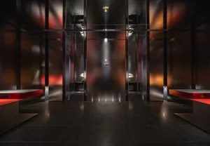 A modern hallway with a black tile floor, glass door, and potted plants, creating a sophisticated atmosphere with natural light
