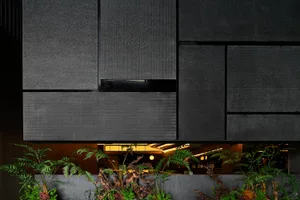 Modern indoor space with a black wall, a large window, and two potted plants adding greenery to the environment