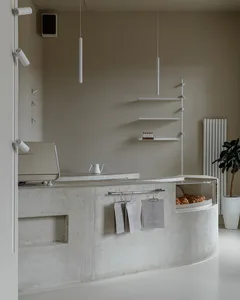 A kitchen with a clean and organized countertop featuring a sink, cups, bowls, bottles, books, and a potted plant, conveying a sense of functionality and practicality