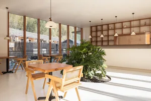 Warm and inviting restaurant interior with wooden tables, chairs, and a potted plant, surrounded by large windows for natural light