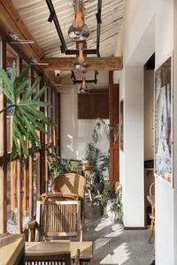 A bright and inviting living area with chairs and potted plants, surrounded by natural light from a large window