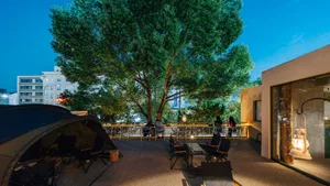 A patio area with a large tree in the center, surrounded by chairs and a dining table, creating a relaxed and inviting atmosphere