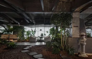 Cozy dining area with a table, chairs, and potted plants near a window with natural light