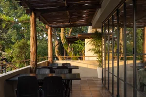 A modern outdoor dining space with a table and chairs surrounded by potted plants, creating a comfortable atmosphere for al fresco meals