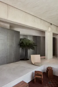 A modern interior space with a white room, a concrete wall, a stone ceiling, and two palm trees, a chair, and a minimalist atmosphere