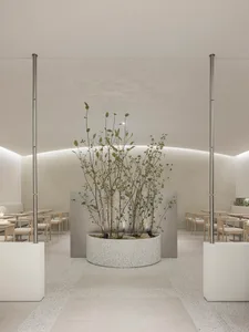 餐廳內部擁有大型中央植物、多張椅子與餐桌，營造溫暖親切的氛圍