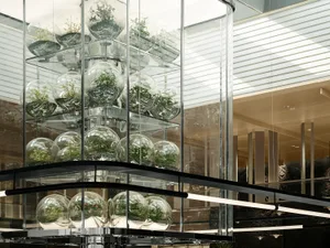 A modern interior space with glass walls, natural light, and potted plants