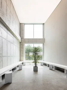 Empty white room with large windows, two benches, and a potted plant, flooded with natural light