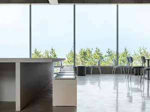 Open living area with natural light, chairs, a dining table, and potted plants