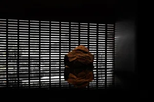 A brown rock sits on a reflective glass table in an indoor space with vertical blinds on the wall