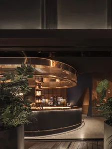 Cozy bar area with a wooden counter, sink, and potted plants, surrounded by bottles and creating a warm atmosphere