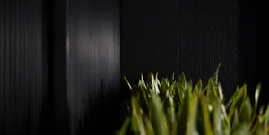 A black wall with a green plant growing on it, creating a striking contrast between the dark background and the vibrant greenery