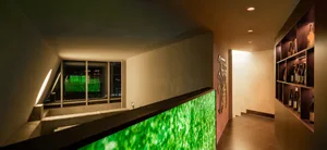 A modern living room with a green screen mounted on the wall, a TV in front, and two windows for natural light