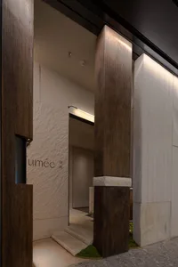 Interior design with wooden walls and floors, double doors, and a modern aesthetic