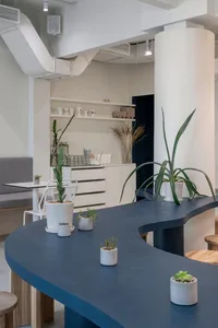 A warm and inviting living area with a wooden countertop, potted plants, and scattered cups, creating a comfortable and functional space