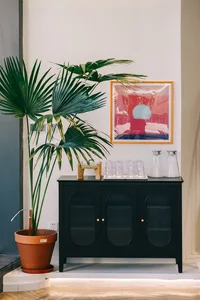 Elegant living space with a glass-fronted cabinet serving as a bar or display case, featuring wine glasses and a potted plant, with a sophisticated atmosphere