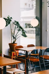 Dining area with a wooden table and chairs, surrounded by potted plants and a vase, creating a cozy atmosphere