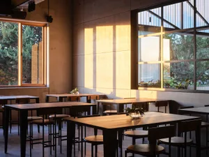 Modern restaurant interior with a large dining table, multiple chairs, potted plants, and a focus on comfort and functionality