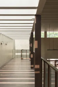 A calm and inviting hallway with a wooden floor, glass wall, and potted plants, allowing natural light to enter the space