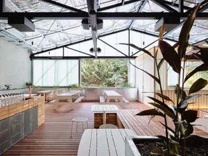 A warm and inviting dining space with wooden floors, natural light, and potted plants