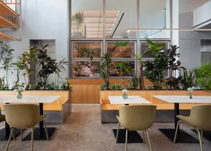 Modern restaurant interior with wooden tables and chairs in front of large windows, surrounded by potted plants and natural light