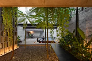 Cozy living area with a wooden deck, dim lighting, and multiple potted plants