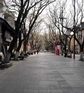 A quiet city street lined with trees and pedestrians, with bicycles parked on the sidewalk