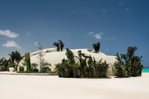 A modern building surrounded by palm trees, with a focus on the unique combination of architecture and vegetation in a tropical or beachside location