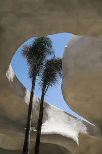 A serene scene with two palm trees in front of a white wall, bathed in sunlight, suggesting a beach or tropical location