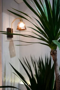 A calm and inviting home office space with a large potted plant, two smaller plants, and a gold lamp on a white wall