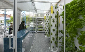 A well-lit indoor garden with various plants in pots, arranged in different sections, and several people present