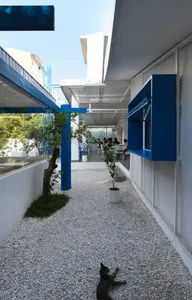 Relaxed indoor space with white walls, blue accents, and potted plants, featuring chairs and dining tables