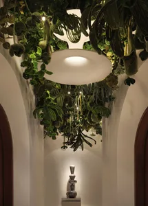 A serene indoor space with lush greenery, potted plants, and a vase, set against a white background
