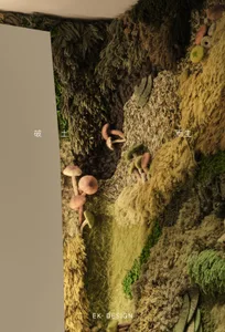 A whimsical forest scene featuring various mushrooms growing on different surfaces, including the ground and rocks, in a natural and imaginative atmosphere