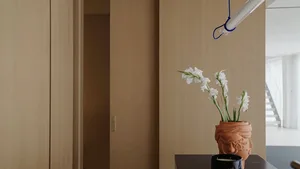 A warm and inviting living space with a vase, potted plants, and a bowl, featuring a clay vase and natural elements