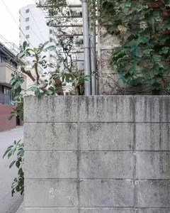 A public space with a concrete wall covered in ivy, featuring potted plants and two benches in a garden setting
