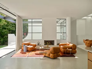 Open living space with a fireplace, two couches, chairs, a dining table, and a potted plant, featuring white walls and wooden elements