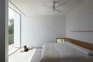 A well-lit bedroom with a white bed, two dogs, and a calm atmosphere