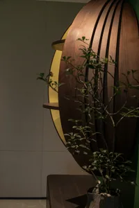 A modern indoor space featuring a large wooden sphere, two shelves, and a potted plant, with a warm yellowish hue
