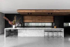 Modern kitchen with wooden cabinets, marble countertop, and stainless steel appliances, featuring two chairs and a potted plant